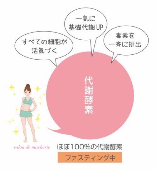 ファスティングで代謝酵素を活性化